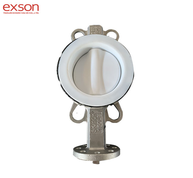 CF8 Butterfly Valve liner PTFE